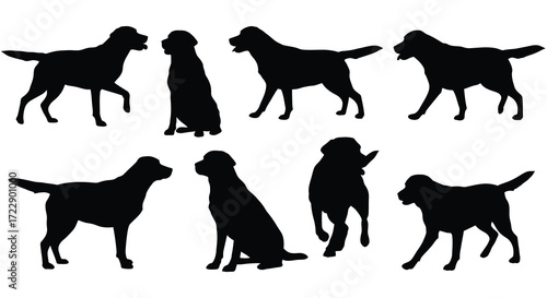 Silhouettes of various dogs in different poses a black and white collection