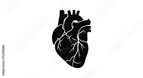 Simple black and white illustration of a human heart with visible vessels