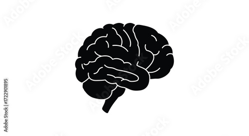 Detailed illustration of a human brain showcasing its complex structure