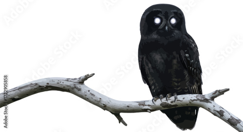 Intense gaze of a majestic charcoal owl perched upon a weathered branch in nature