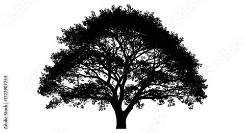 Silhouette of a majestic solitary tree, evoking nature's strength and beauty with a detailed