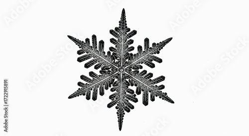 An intricate monochrome illustration of a six-pointed snowflake with crystalline details