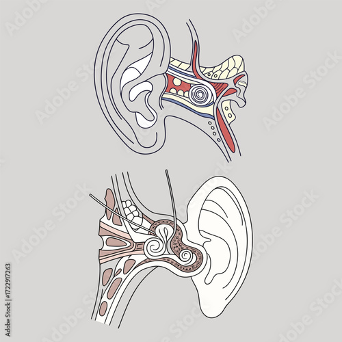 Tribal tattoo vector illustration with floral pattern and ornamental design