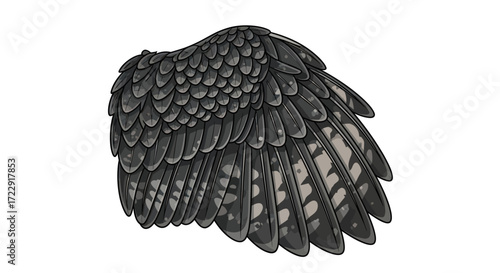 Illustrated charcoal wing structure showcasing layered feathers and intricate details