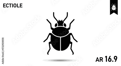 Stylized beetle vector illustration ideal for entomology studies and graphic design use