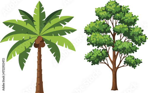 Banana Tree and Deciduous Tree Vector Illustration Showing Tropical and Temperate Foliage Contrast for Botanical, Seasonal, and Nature Design Themes