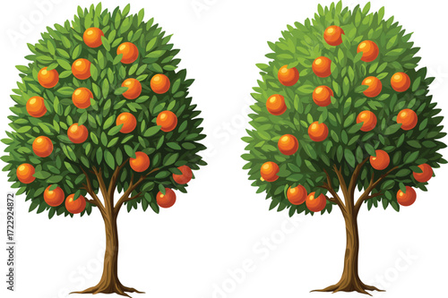 Cartoon Orange Trees Vector Illustration Showing Fruit Quantity Variation and Foliage Detail for Botanical, Nature, Agriculture, Landscape, and Educational Use