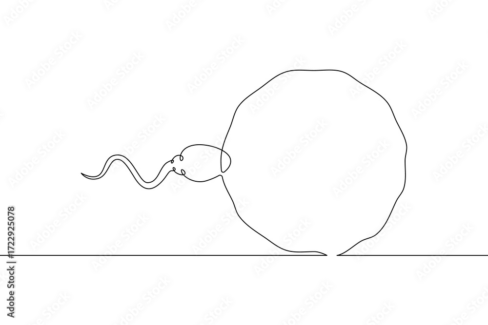 Fototapeta premium Continuous one line drawing Sperm and female egg. Conception. .Line art.One continuous line isolated illustration.Not AI.