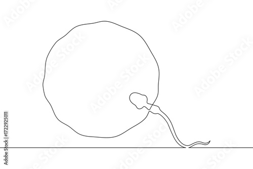 Continuous one line drawing Sperm and female egg. Conception. .Line art.One continuous line isolated illustration.Not AI.