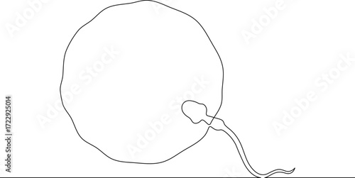 Continuous one line drawing Sperm and female egg. Conception. .Line art.One continuous line isolated illustration.Not AI.