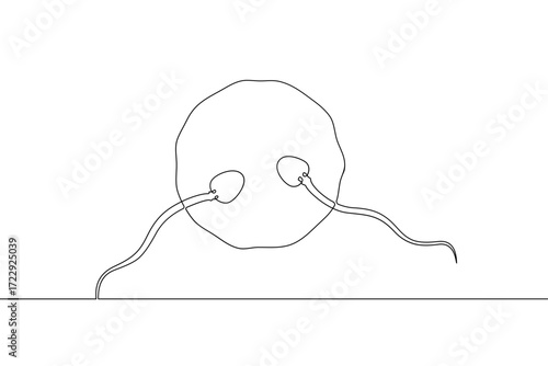Continuous one line drawing Sperm and female egg. Conception. .Line art.One continuous line isolated illustration.Not AI.