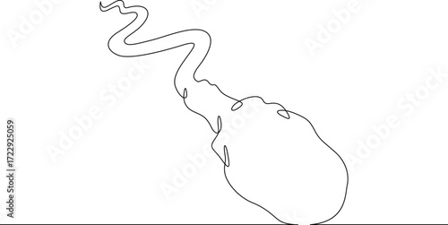 Continuous one line drawing spermatozoon .Line art.One continuous line isolated illustration.Not AI.