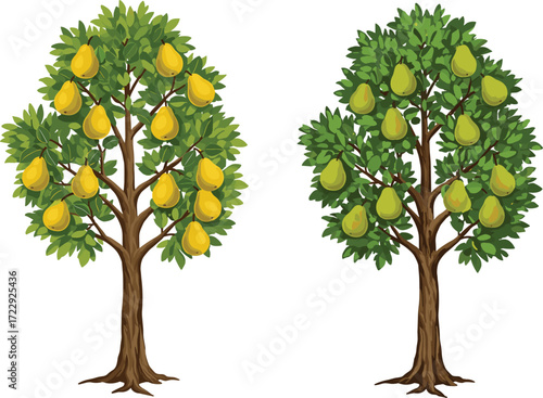 Cartoon Pear Trees Vector Illustration Showing Fruit Quantity and Color Comparison for Botanical, Nature, Agriculture, Landscape, and Educational Design Use