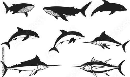 Whale silhouette, dolphin silhouette, swordfish silhouette, marine animal illustration, ocean wildlife design, aquatic life drawing, sea creatures art, underwater nature graphic