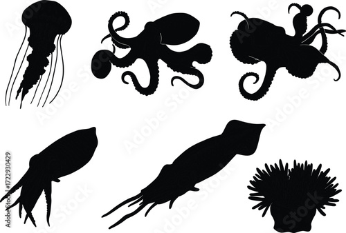 Black marine animal silhouettes, jellyfish octopus squid cuttlefish sea anemone vector illustration, underwater wildlife artwork, ocean invertebrate graphic, educational zoology design
