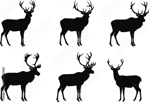 Black deer silhouettes with antlers, wildlife illustration, stag vector artwork, hunting design, animal posture collection, forest nature graphic, zoology educational drawing