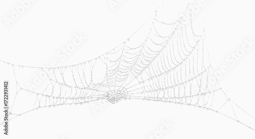 Intricate spiderweb with dewdrops reflecting light captures nature's delicate architecture with