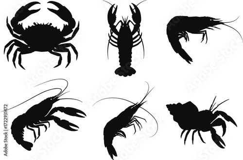 Crustacean silhouettes, crab outline, lobster shape, shrimp figure, hermit crab shadow, marine animals, seafood illustration, ocean wildlife, biology study, zoology research