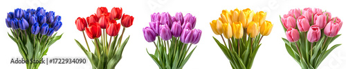 Set of lush tulip bouquets isolated on a transparent background PNG