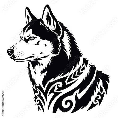 Siberian husky head isolated on white background. Vector illustration.