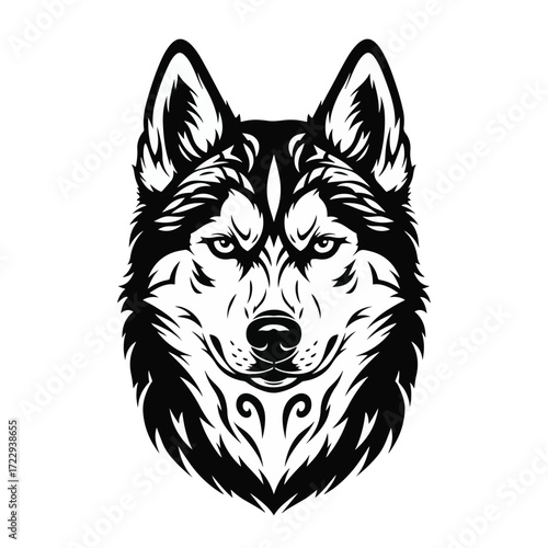Siberian husky head isolated on white background. Vector illustration.