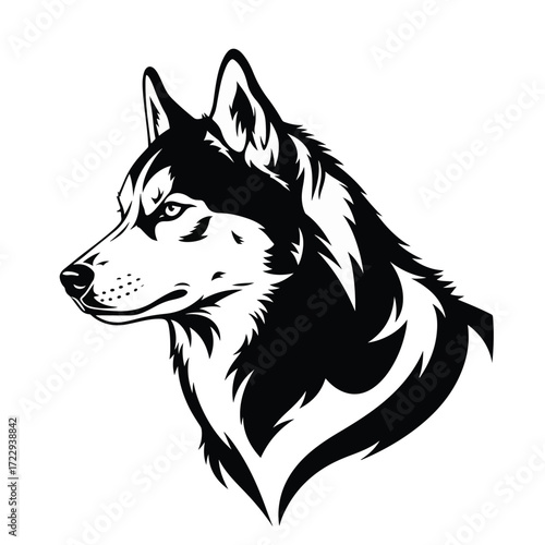 Siberian husky head isolated on white background. Vector illustration.