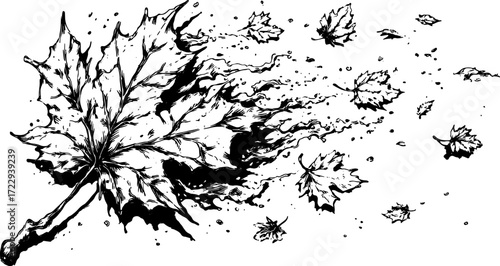 Black and white illustration of a leaf in motion. This detailed vector set shows leaves flowing with wind, creating an elegant abstract design.