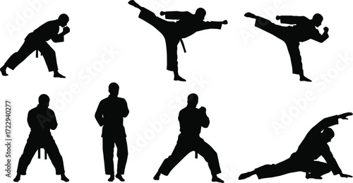 Silhouette martial artists performing karate and kung fu poses, traditional uniforms with belts, vector illustration of combat training, discipline and strength