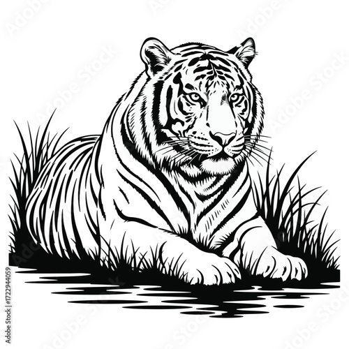 Tiger lying on the grass. Black and white vector illustration.