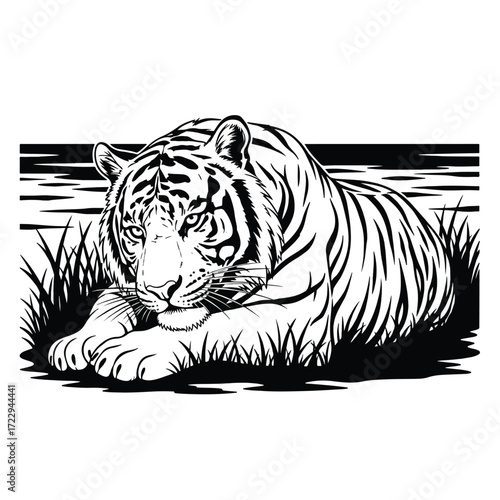 Tiger lying on the grass. Black and white vector illustration.