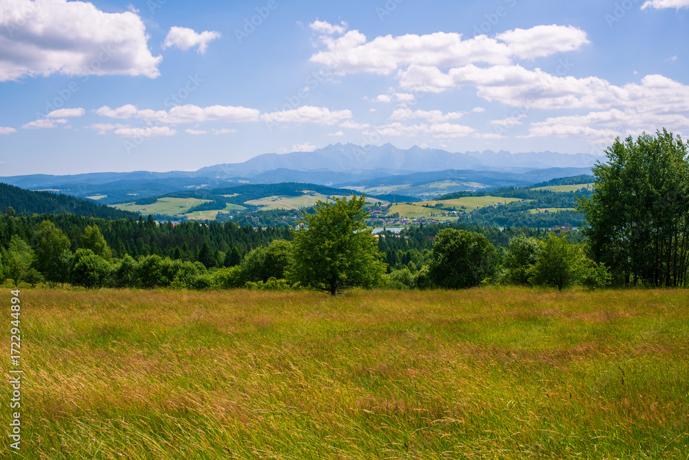 Fototapeta premium A wide open meadow with tall grass overlooks a breathtaking panorama of the Tatra Mountains. The bright summer sky and scattered clouds enhance the sense of open space, freedom, and natural beauty of