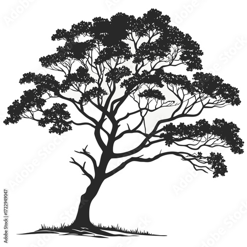 Silhouette of a broad tree with dense foliage and a sturdy trunk standing on a patch of grass in monochrome created with generated ai