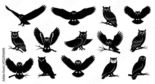 Silhouette collection of owls in various poses perched on branches and flying with spread wings design