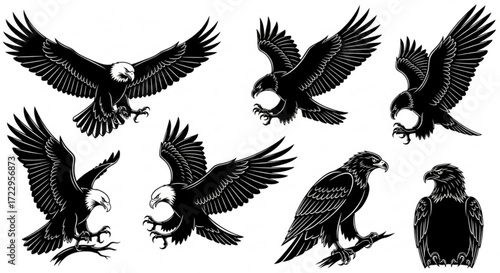 Illustration showcasing multiple bald eagles in various poses with detailed feathering and sharp talons design