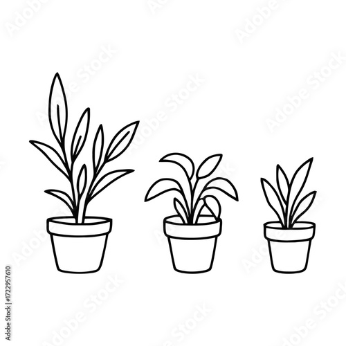 Modern potted plants line art for minimalist home decor or botanical design projects fresh and vibrant
