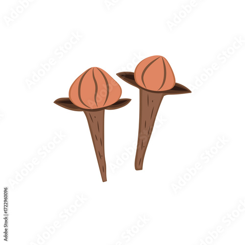 cloves