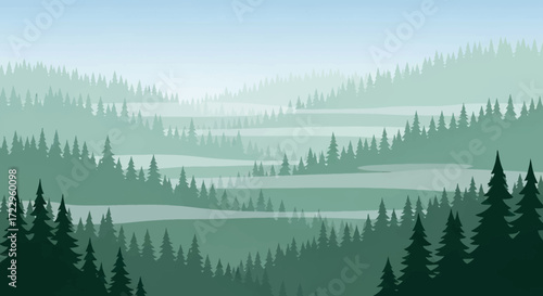 Dense evergreen forest with tall pine trees in a natural landscape.