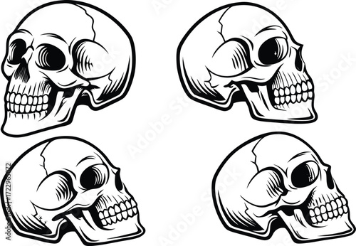 Four Stylized Black And White Human Skulls bone skeleton