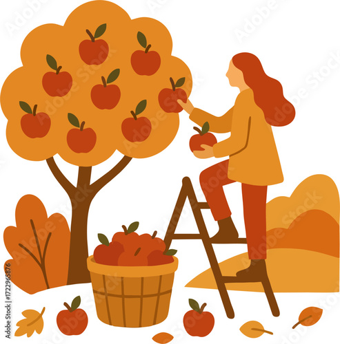 people picking fresh harvest from apple trees in autumn. Farmer with basket gathering local crops from orchard plant. Colored flat graphic vector illustration isolated on white background