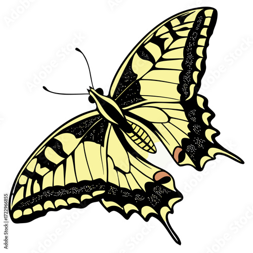 Swallowtail Butterfly Vector Illustration (SVG)