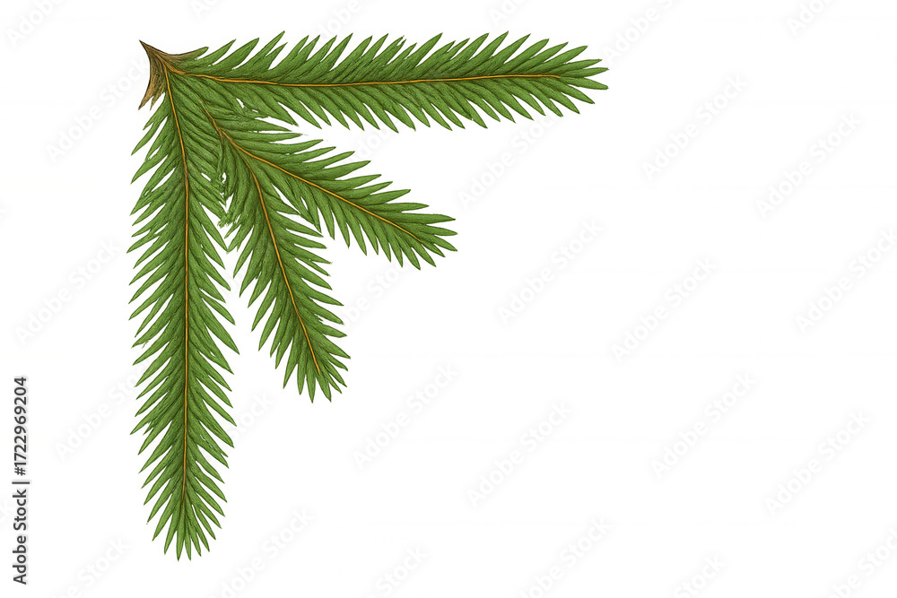 Naklejka premium Pine tree branch creating a festive top left corner frame, isolated, evergreen christmas season decoration element