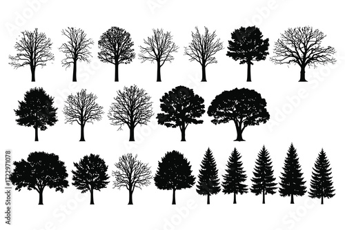 Diverse Collection of Black Tree Silhouettes in Various Species and Seasons on White Background Keywords: tree, silhouette, nature, plant, flora, foliage, branches, leaves