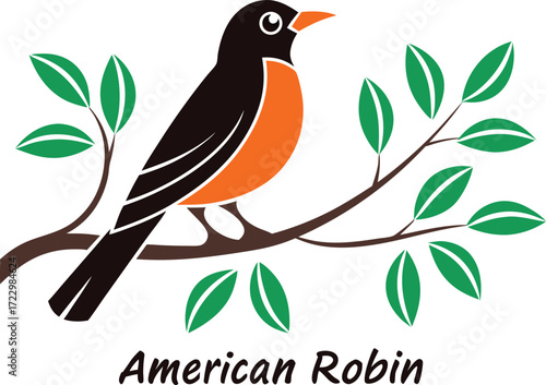 American Robin Bird on a Branch with Green Leaves Illustration for Ornithology Studies