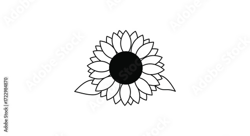 Detailed sunflower illustration with dark center and delicate petals silhouette