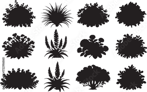 Bush and plant silhouette vector set: garden shrubs, hedges, and ornamental grasses eps