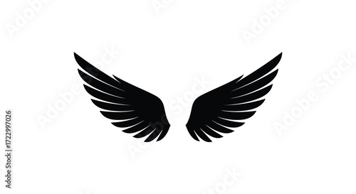 A striking graphic of black wings beautifully rendered as a silhouette