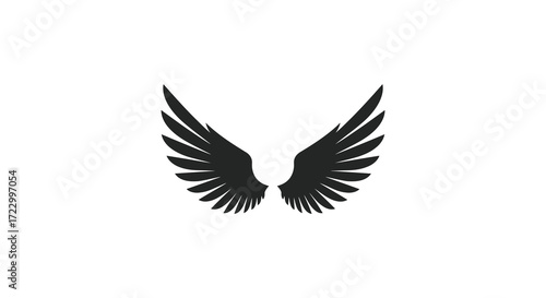 A pair of black feathered wings against a white background silhouette