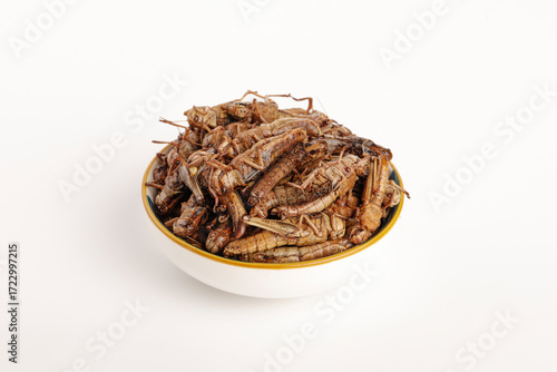 Fried Grasshoppers Insects Bowl White Background Shandong Traditional Asian Protein Snack Food Delicacy
