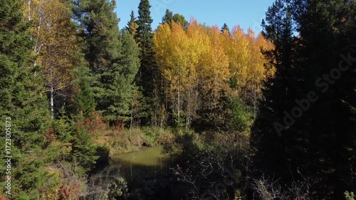 Flight over the autumn Siberian forest