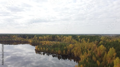 a flight over autumn trees and a large Siberian lake